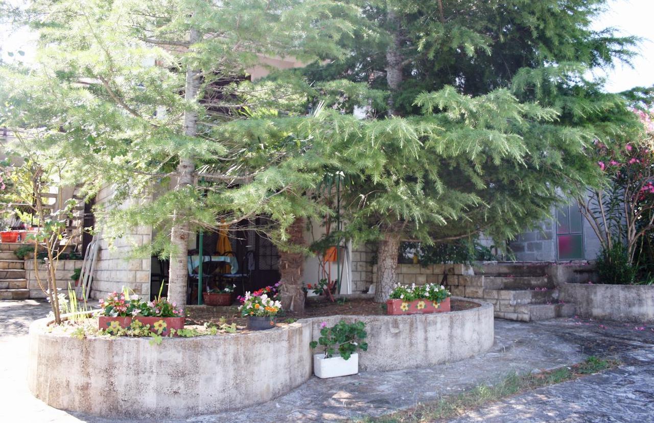 Apartments With A Parking Space Murter - 5103 Бетина Екстер'єр фото